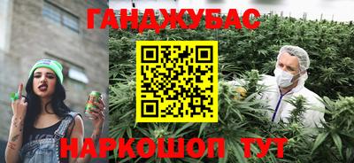 a pvp Бердск